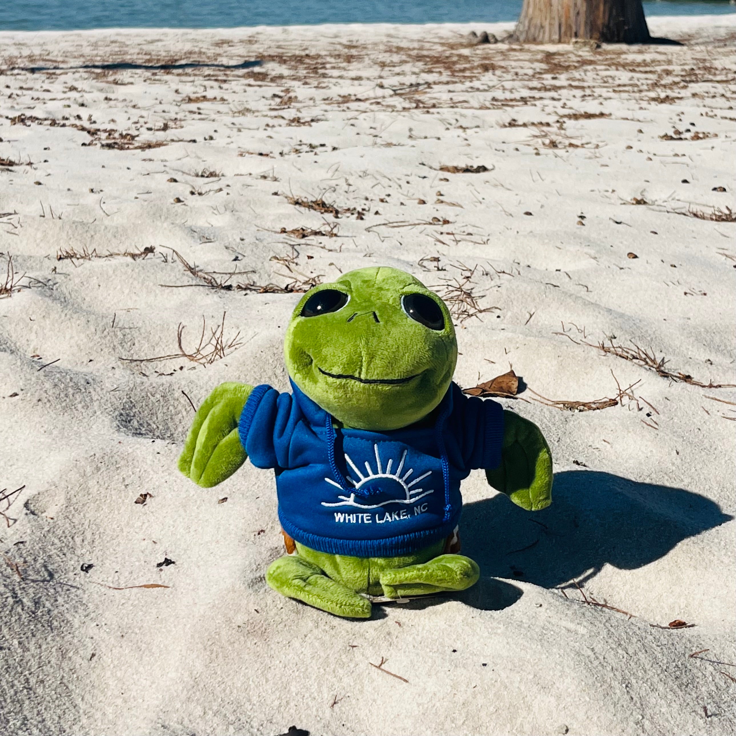 White Lake Plushie - Bright Eye Turtle